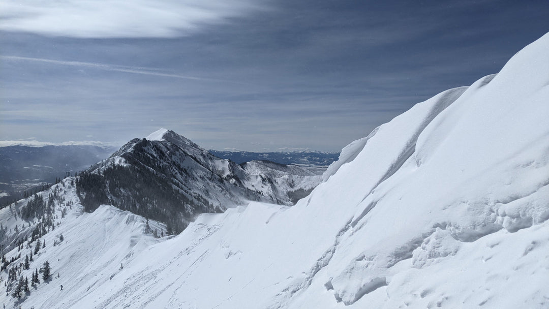 Voile Skis Summit Bike & Ski