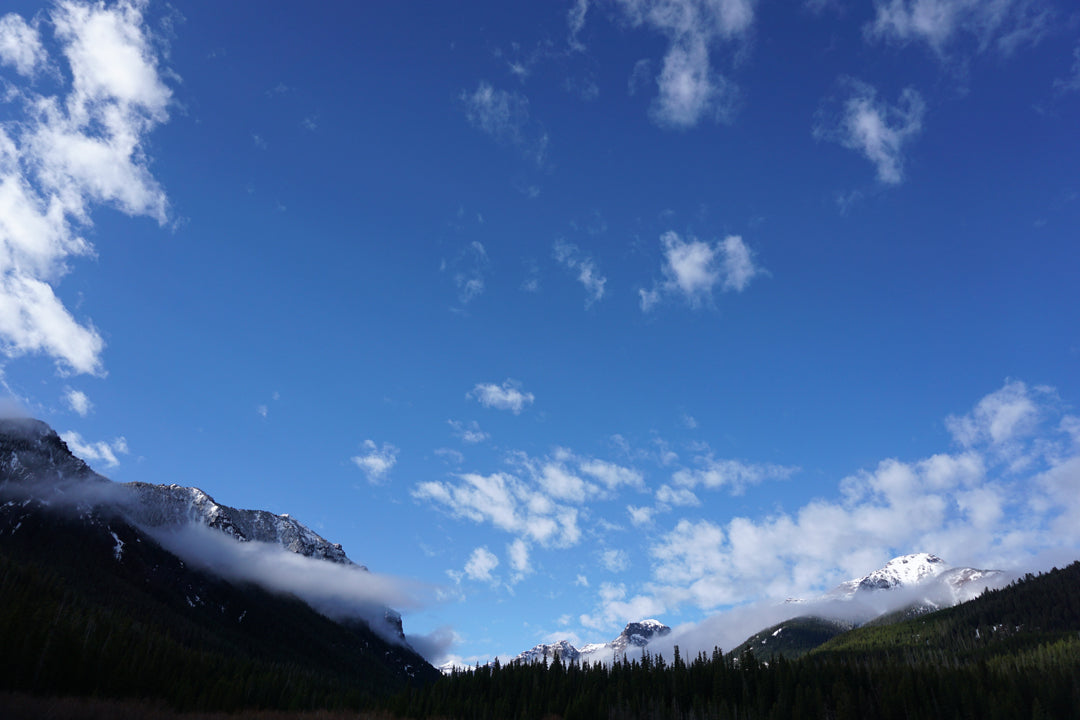Summit Bike & Ski Bike & Ski Shop Bozeman, MT